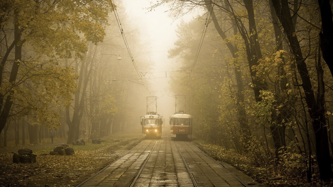 Два трамвая на линии в городском парке
