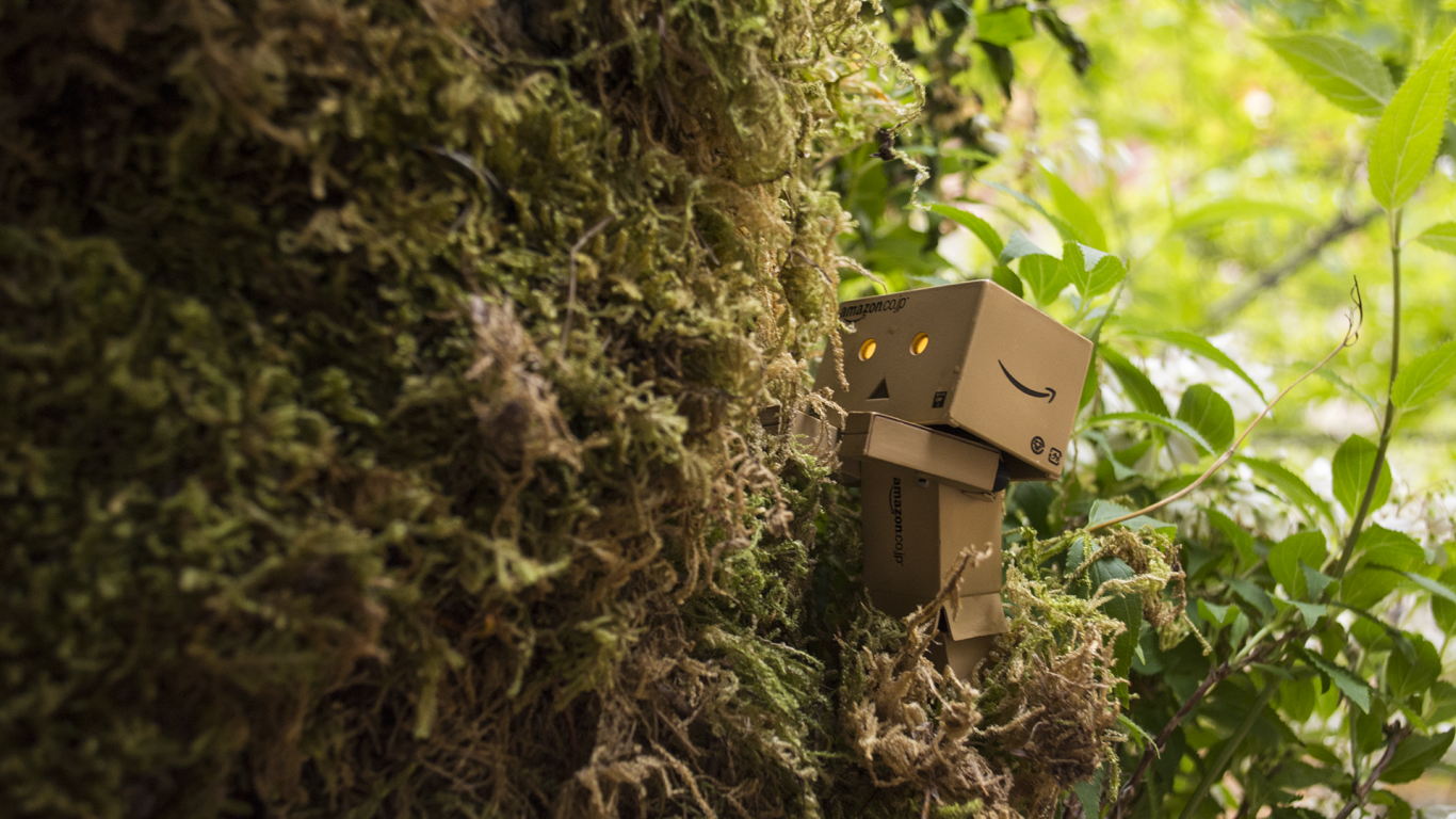 Дандо в японском саду