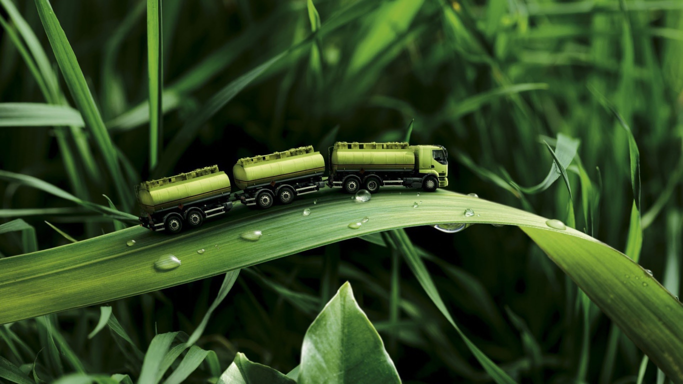 Игрушка на траве