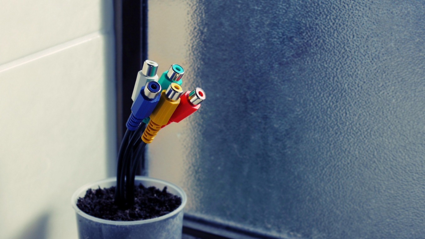 Тюльпаны в горшке