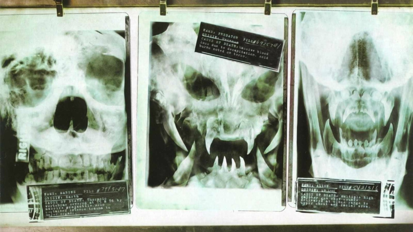 Рентгеновские снимки опасных созданий