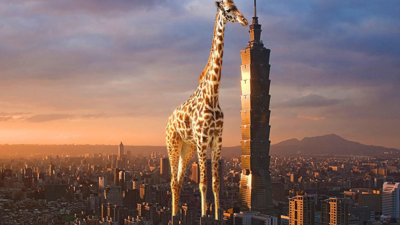 Жираф выше небоскреба