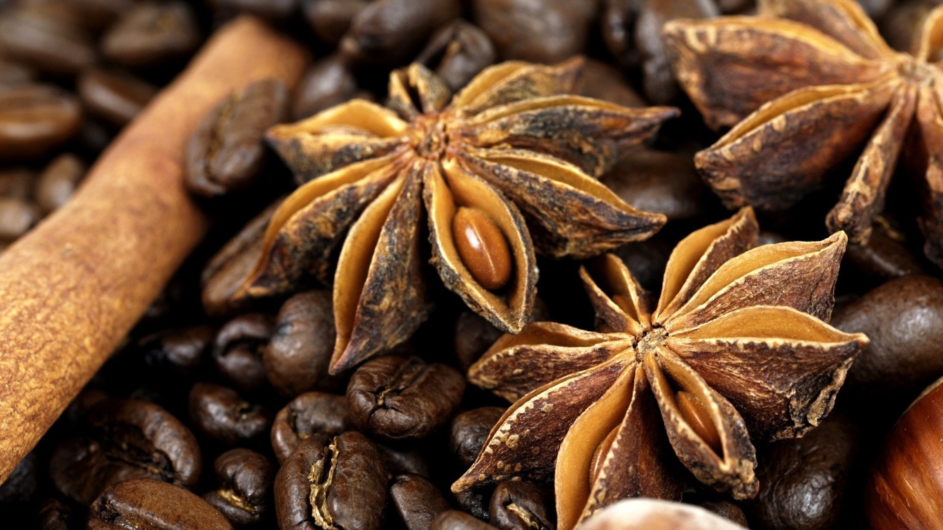 Плоды бадьянового дерева