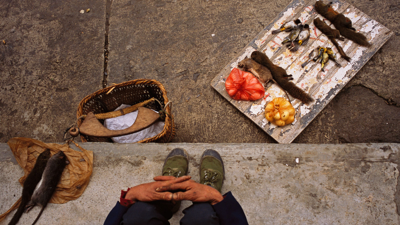 Торговля деликатесами