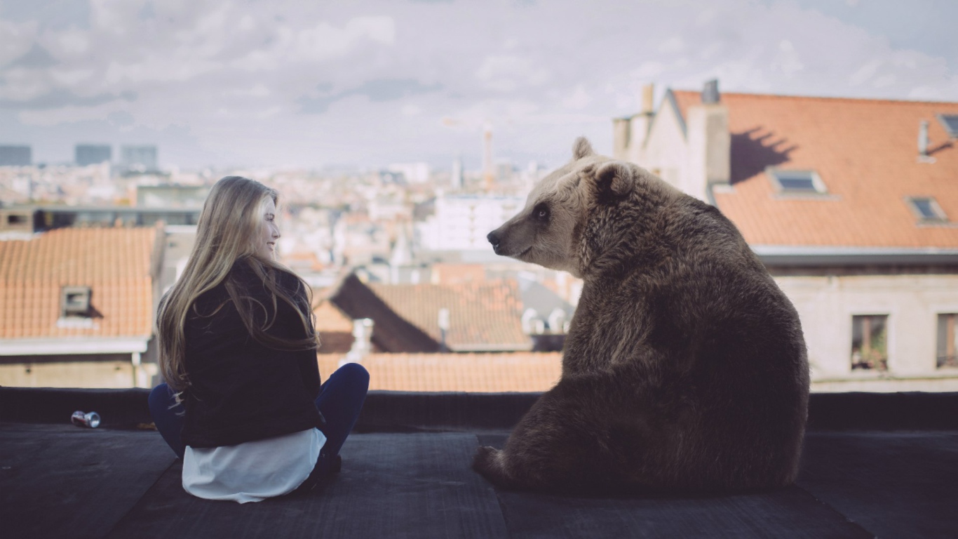 Девушка с медведем на крыше