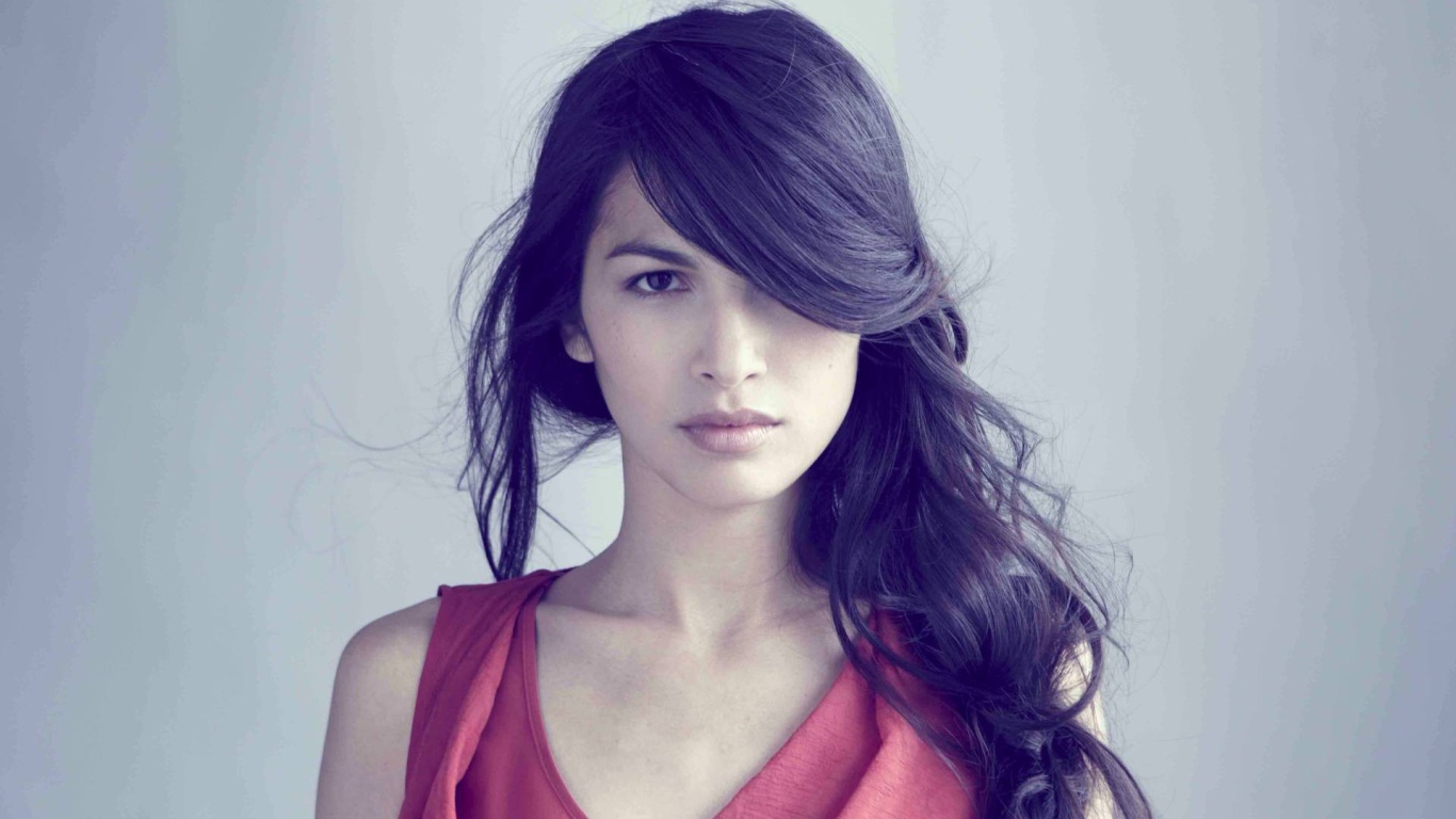 Модель Элоида Янг