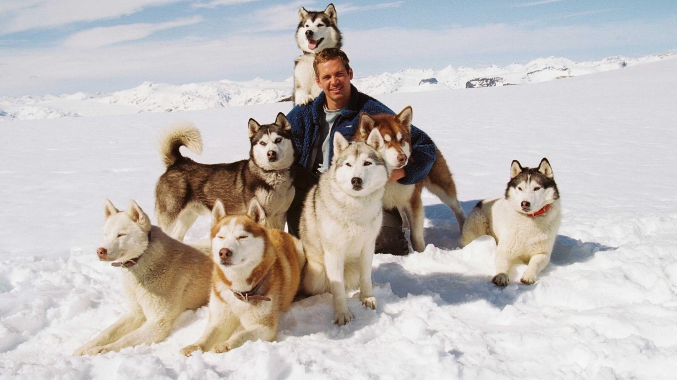 Собаки из фильма Белый плен