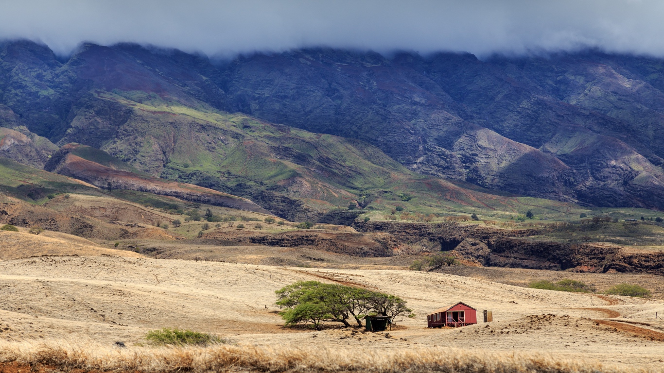Домик у дерева в пустынной горной местности