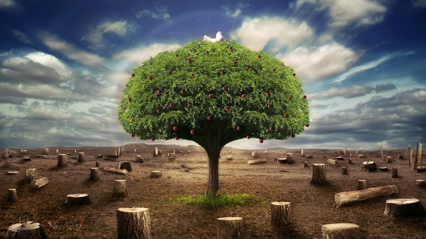 Живое дерево среди пеньков