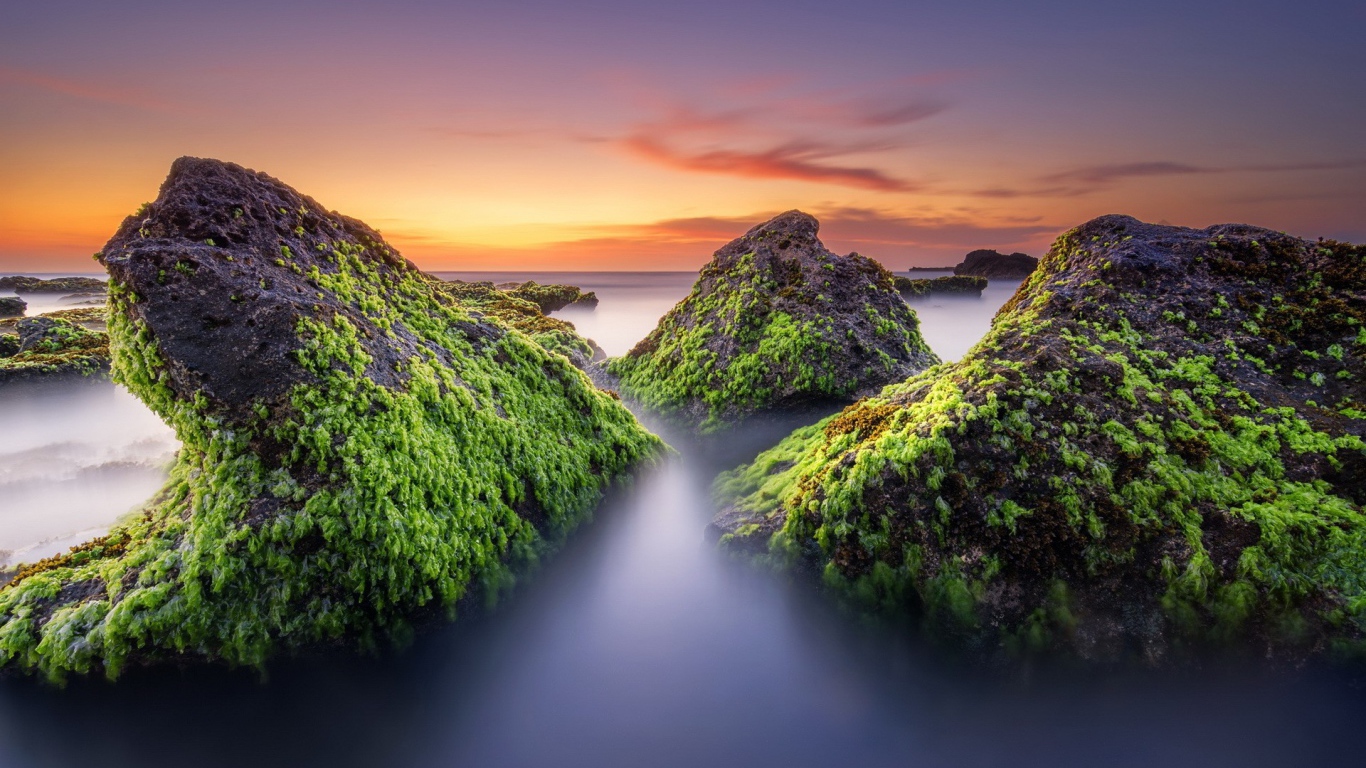 Поросшие мхом скалы в тумане