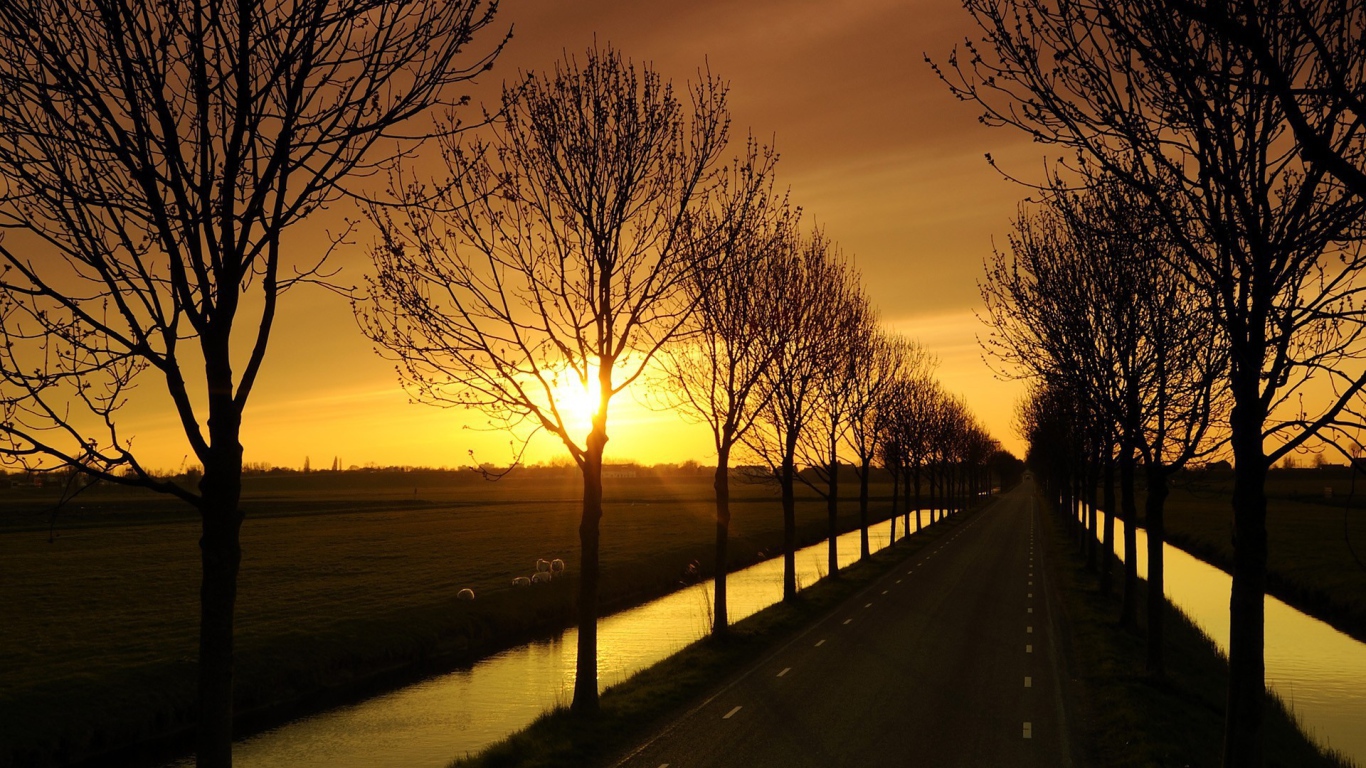 Дорога с каналами по краям