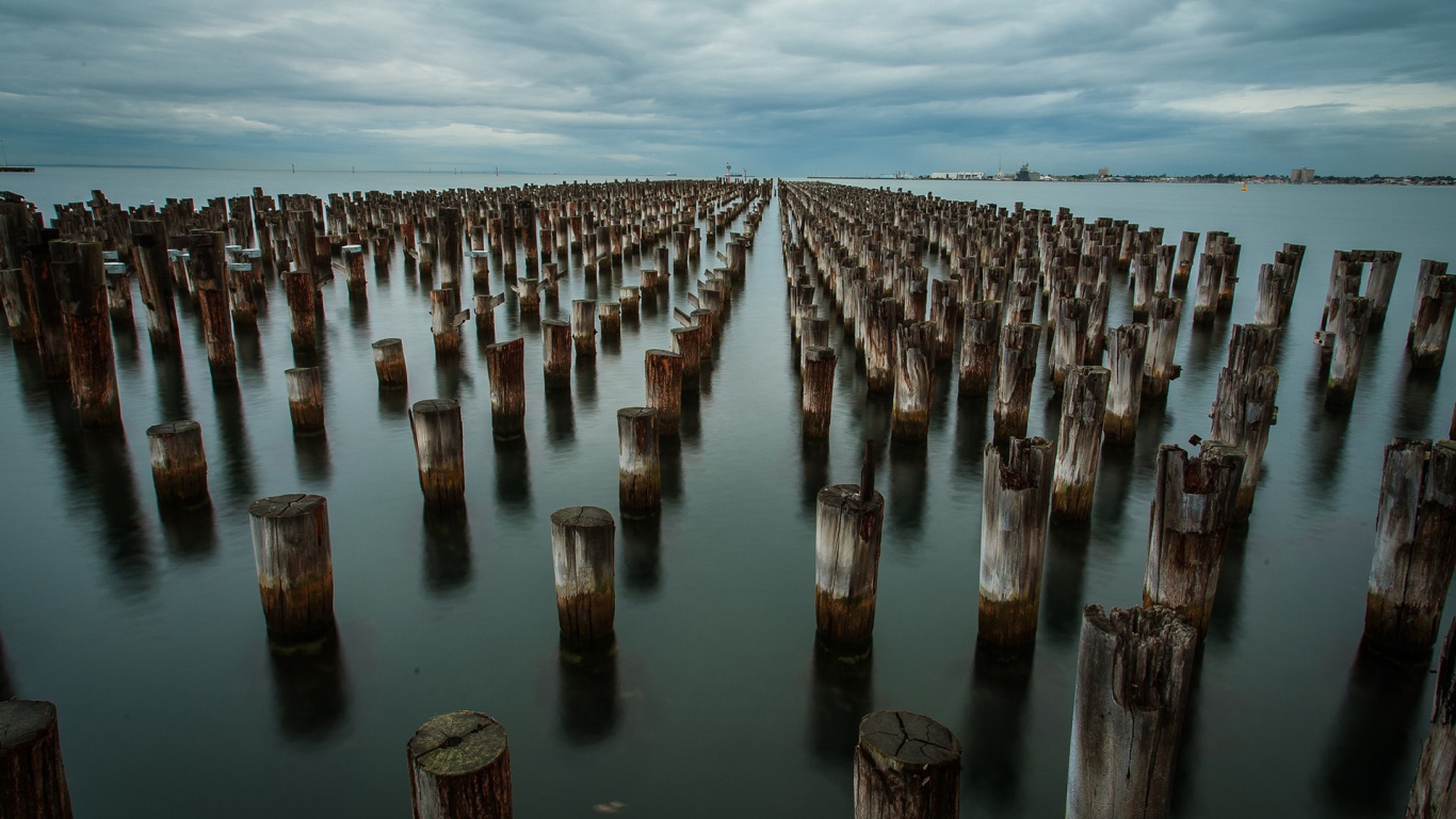 Ряды деревянных свай в воде