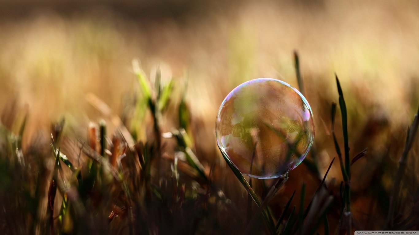 Мыльный пузырь на траве