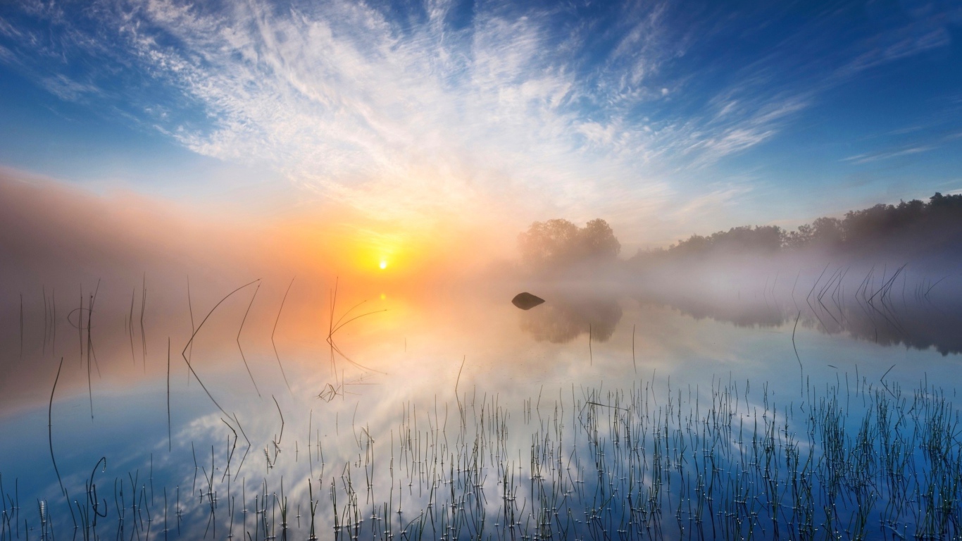 Желтое солнце в утреннем тумане