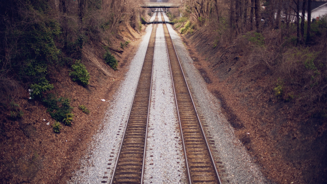Два пути железной дороги между деревьями