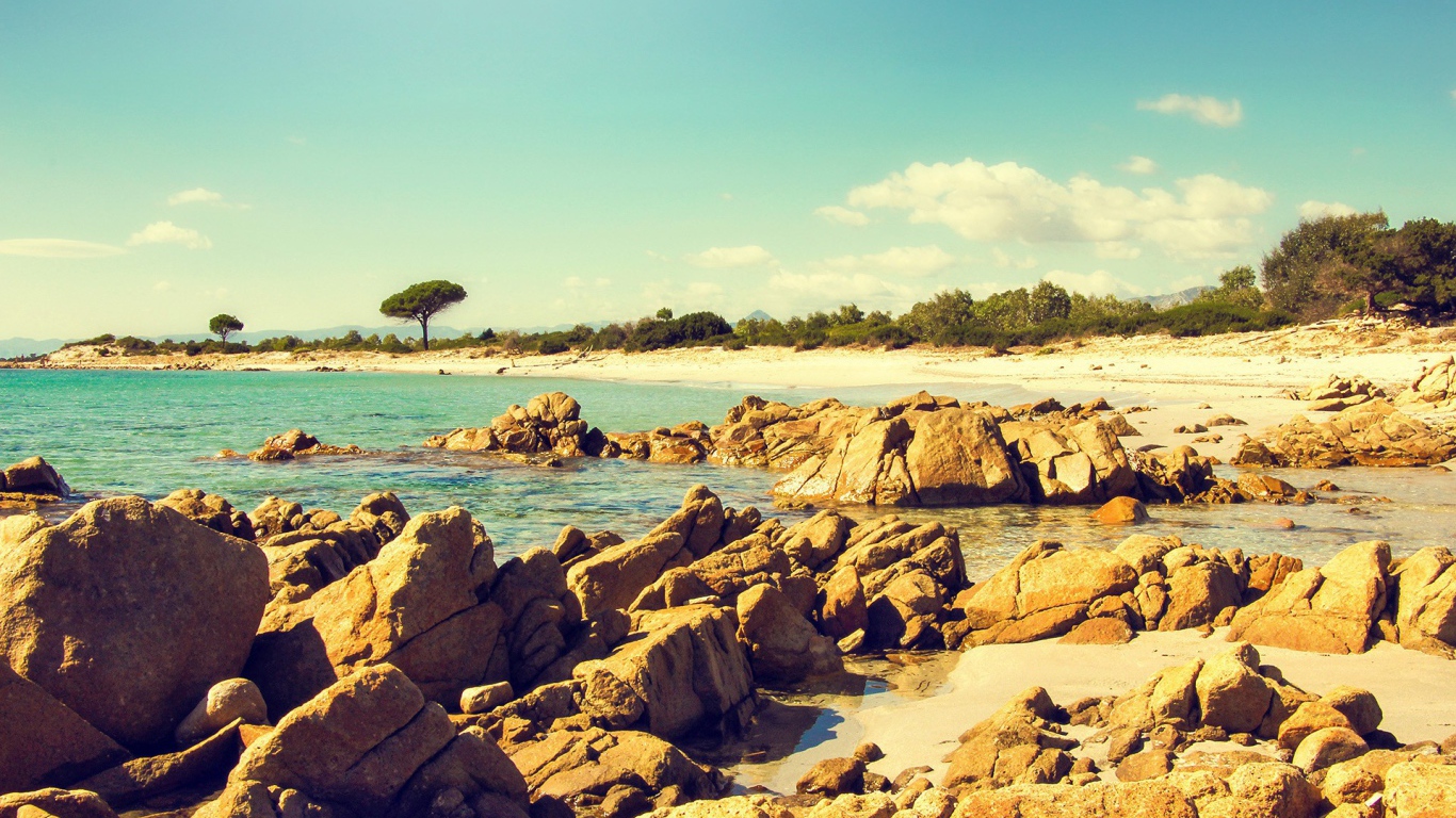 Коричневые камни и скалы на берегу моря