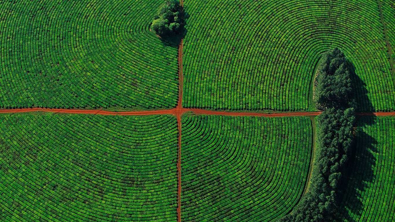 Красивое фото поля с высоты