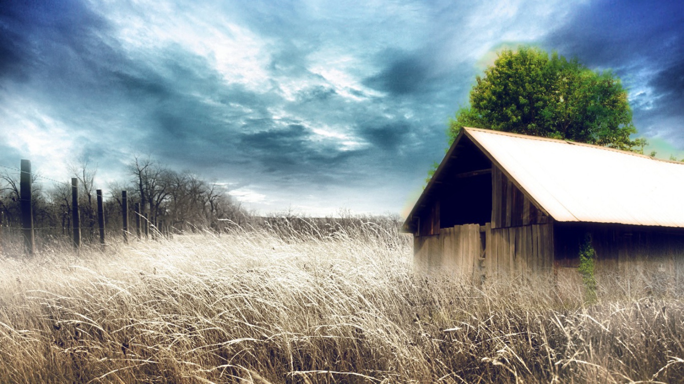 Сарай среди сухих зарослей