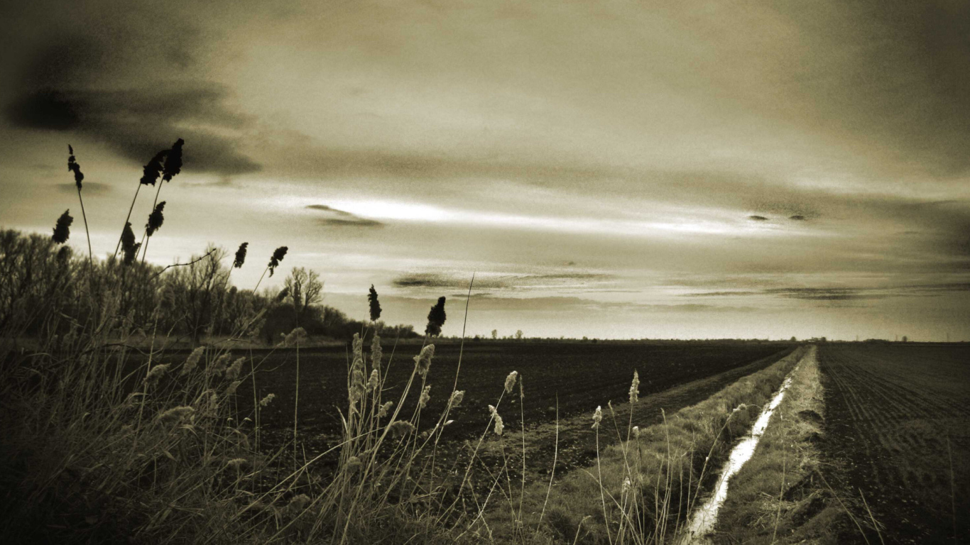 Оросительный канал