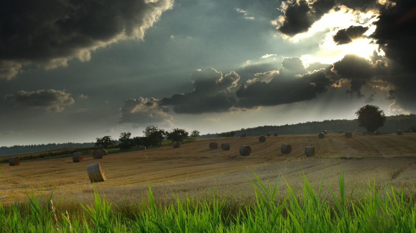 Грозовые тучи над полем