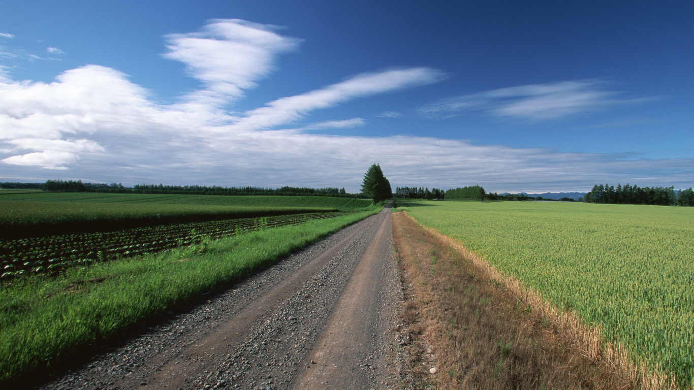 Прямая грунтовая дорога