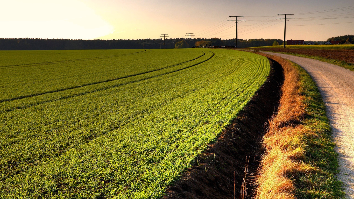 Канава на краю зеленого поля