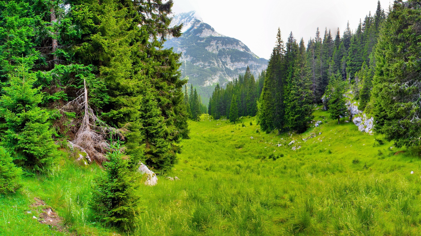 Сказочная природа предгорья