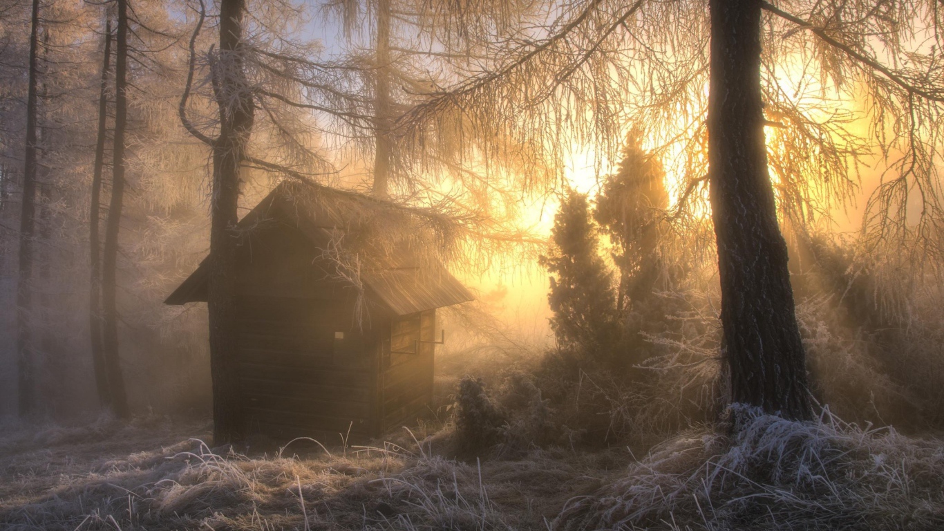 Охотничья избушка в морозном лесу