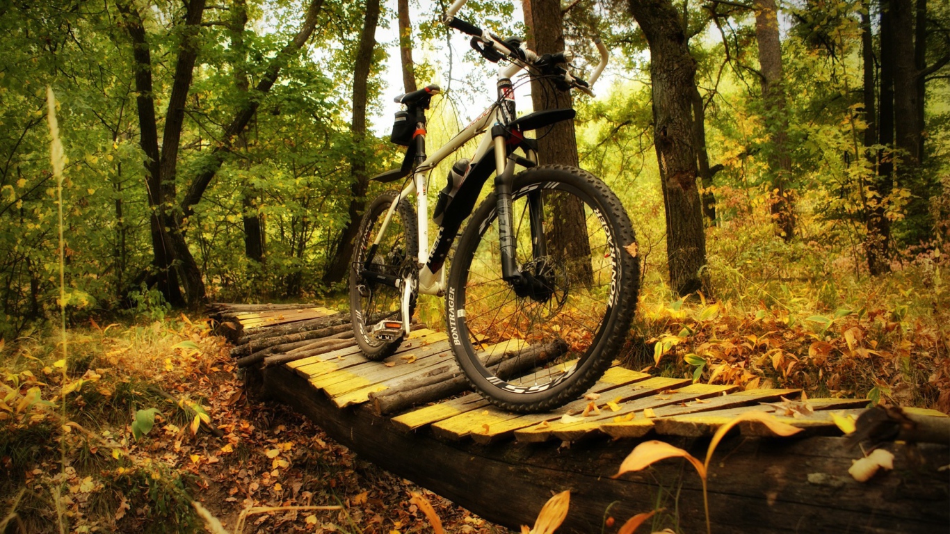 Прогулочный велосипед в лесу
