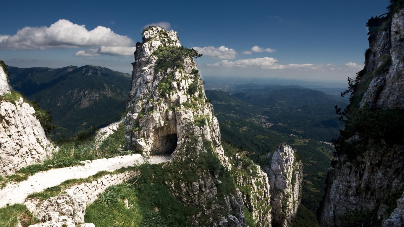 Меловые скалы поросли зеленью