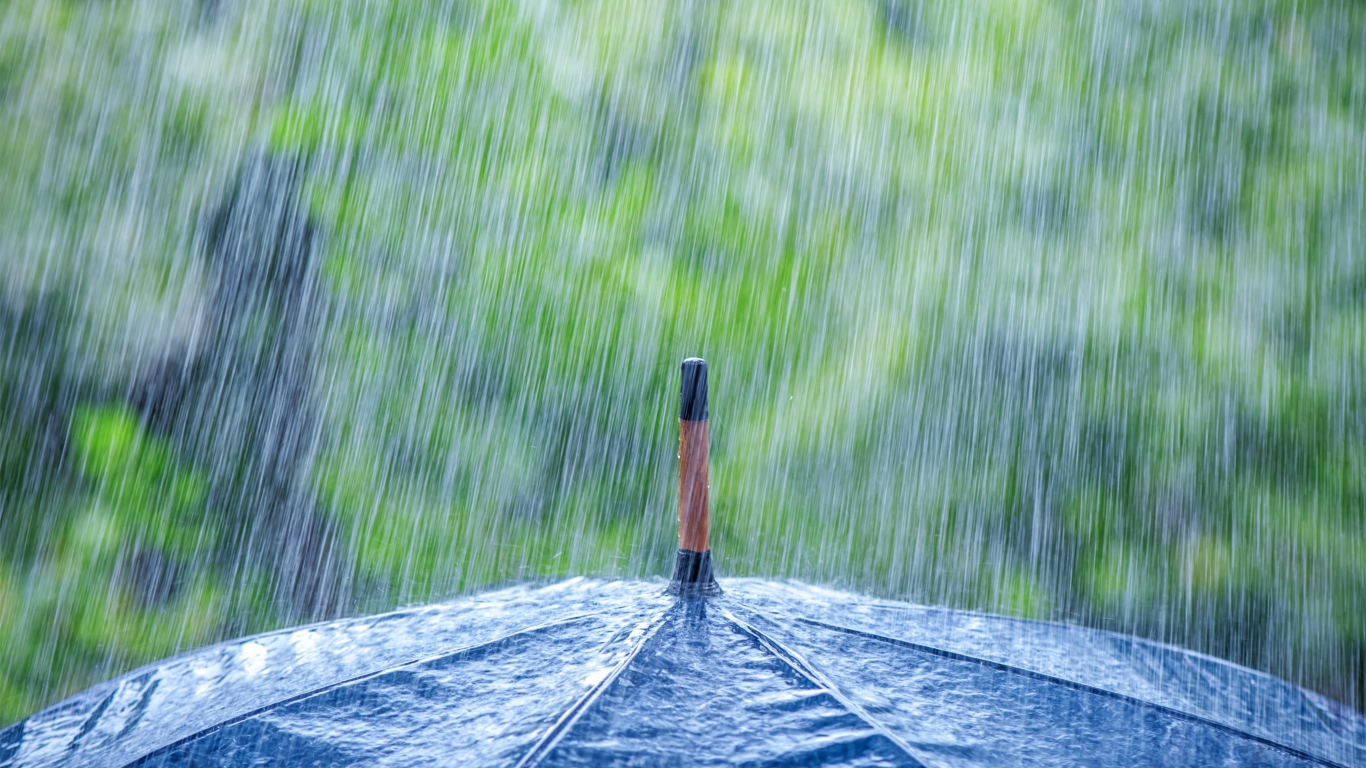 Дождь льется на черный зонт