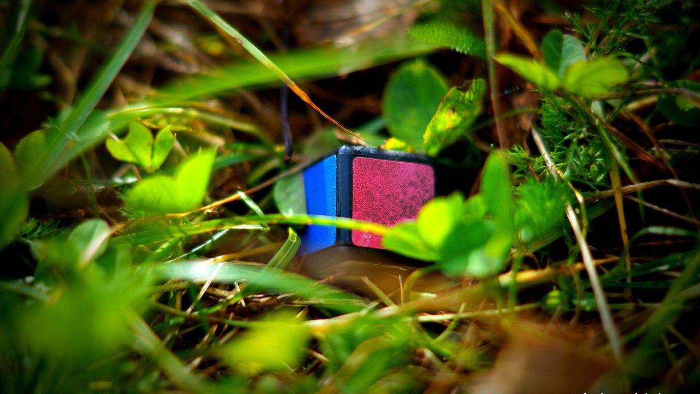 Элемент кубика Рубика лежит в траве