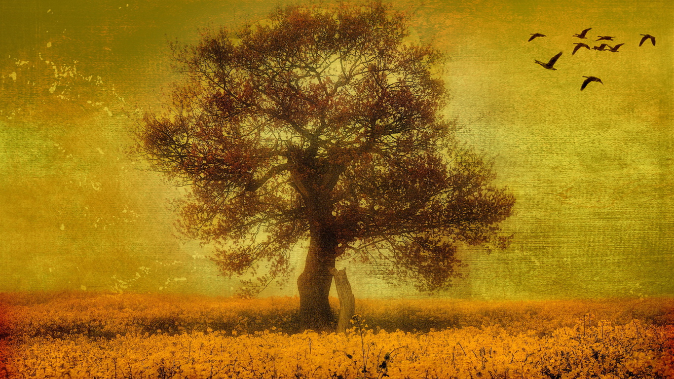 Птицы над одиноким деревом