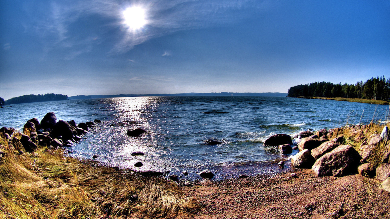 Берег лесного озера с камнями