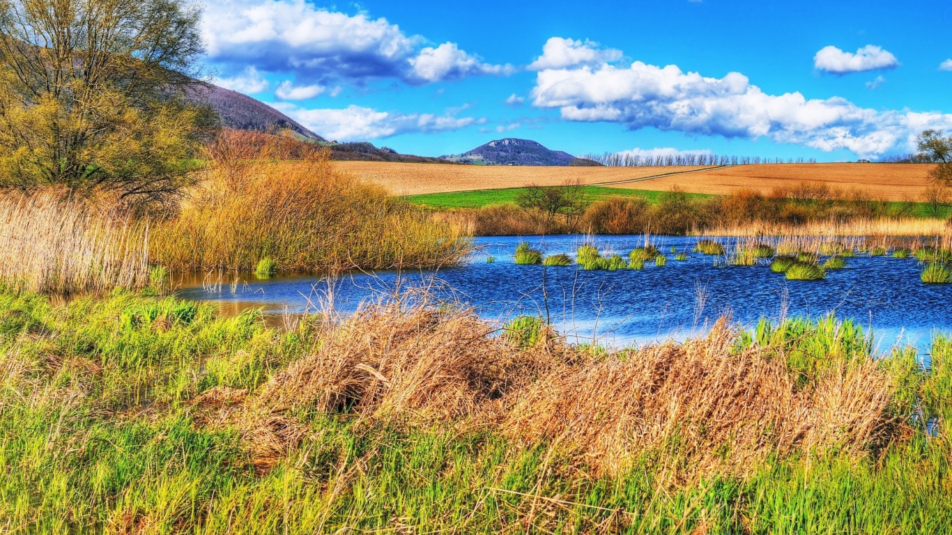 Болотистое место среди полей