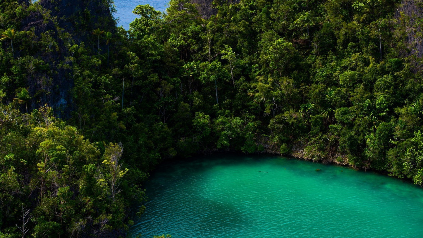 Бирюзовое озеро в тропическом лесу