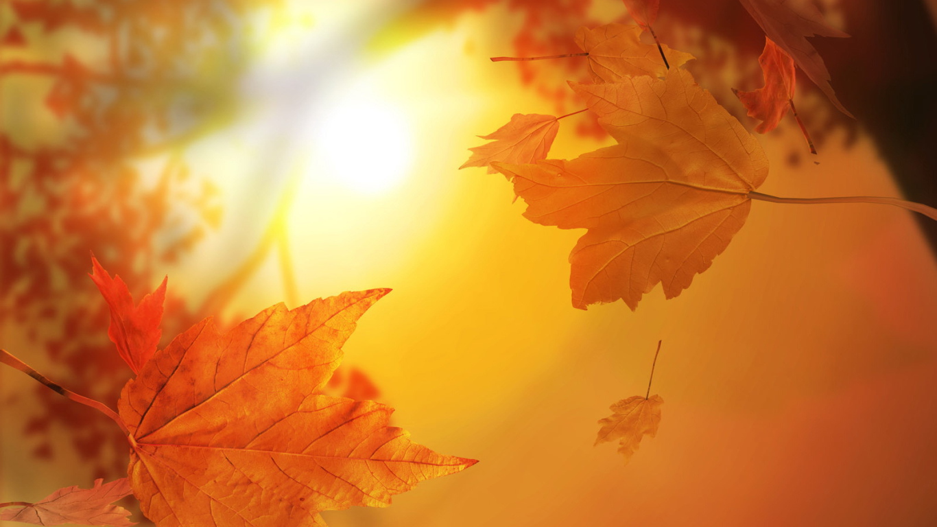 Литература 5 класс учебник кубок. Меня раздражает и солнца осеннего блеск. Солнце осенью. Русский язык 8 класс ладыженская 225 упражнение. Меня раздражает и солнца осеннего блеск.