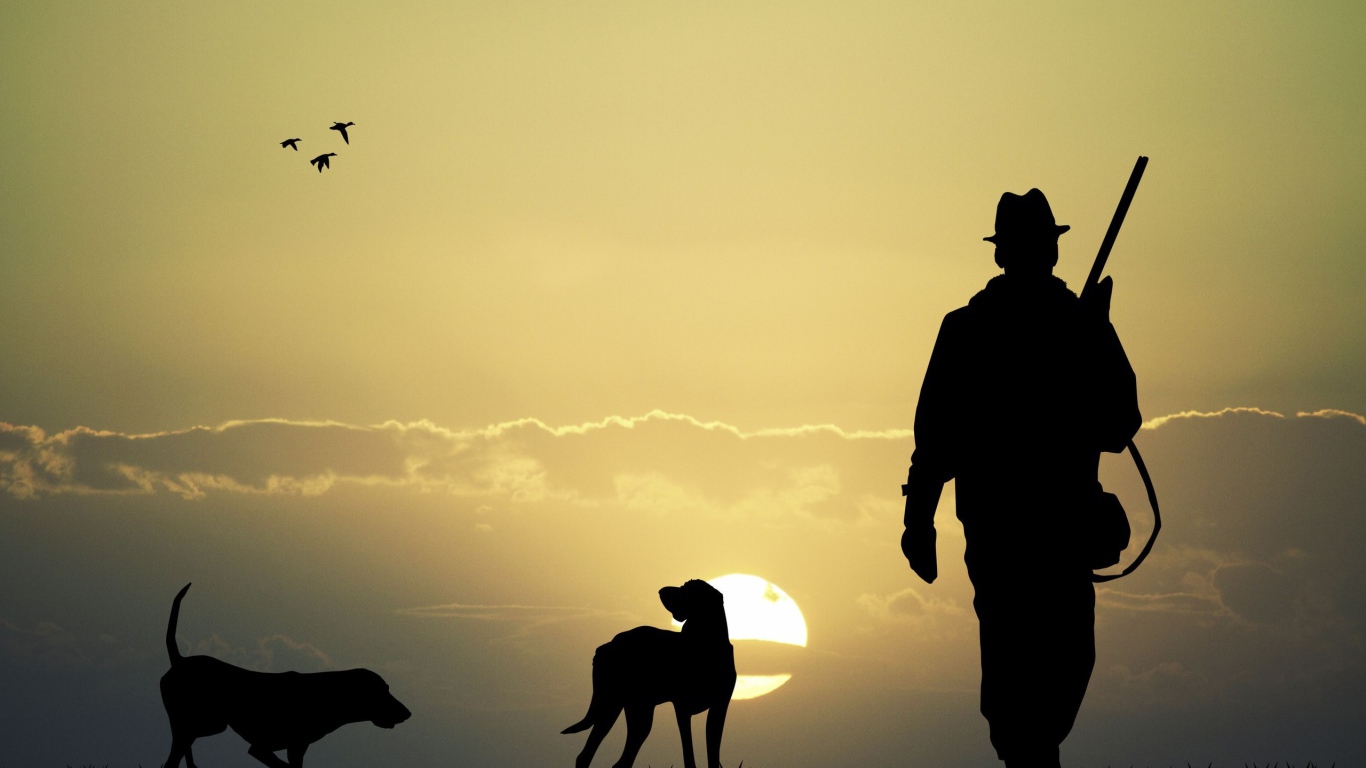 Охотник с собаками на фоне солнца