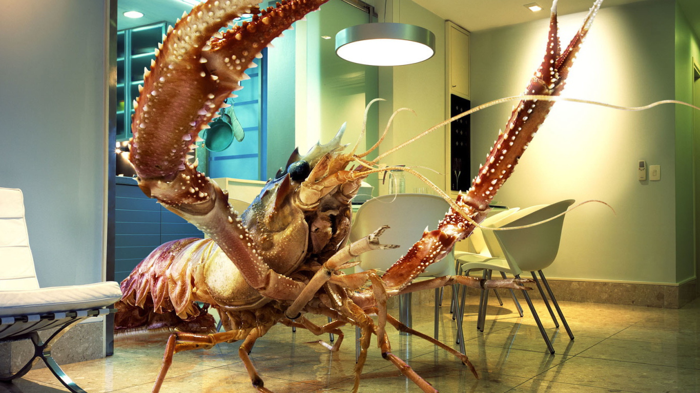 Краб в комнате