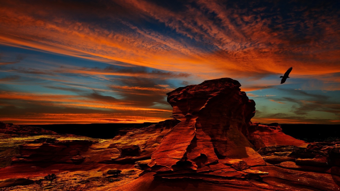 Орел над красной скалой в Чили