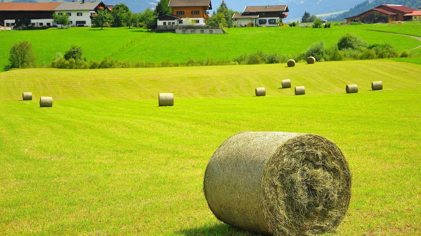 Bales of hay on a field, Austria