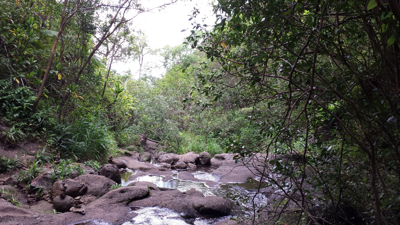 Река в Ka‘Au Crater, Гавайи