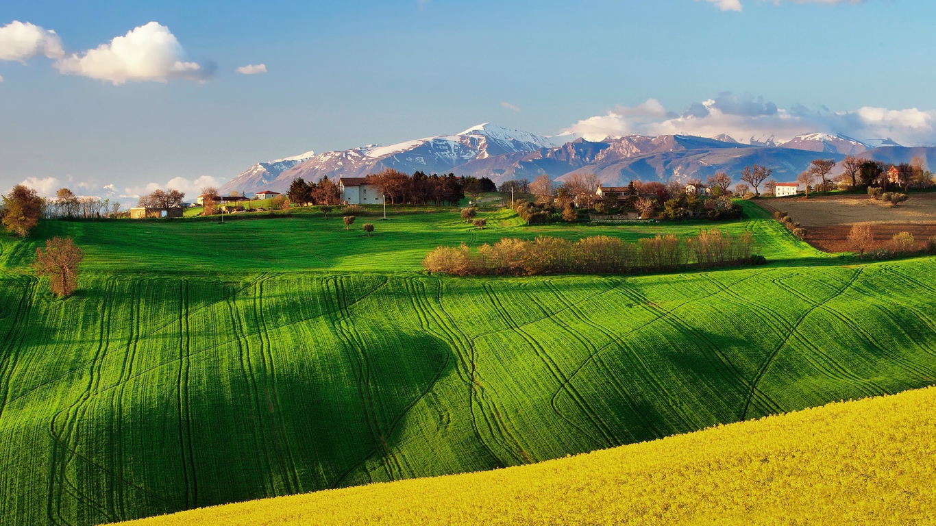 Зеленое поле в Италии