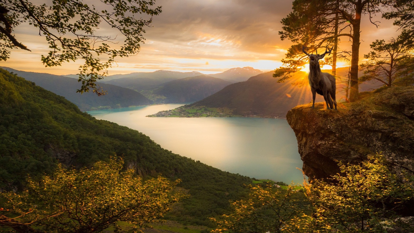 Олень на фоне заката в Норвегии