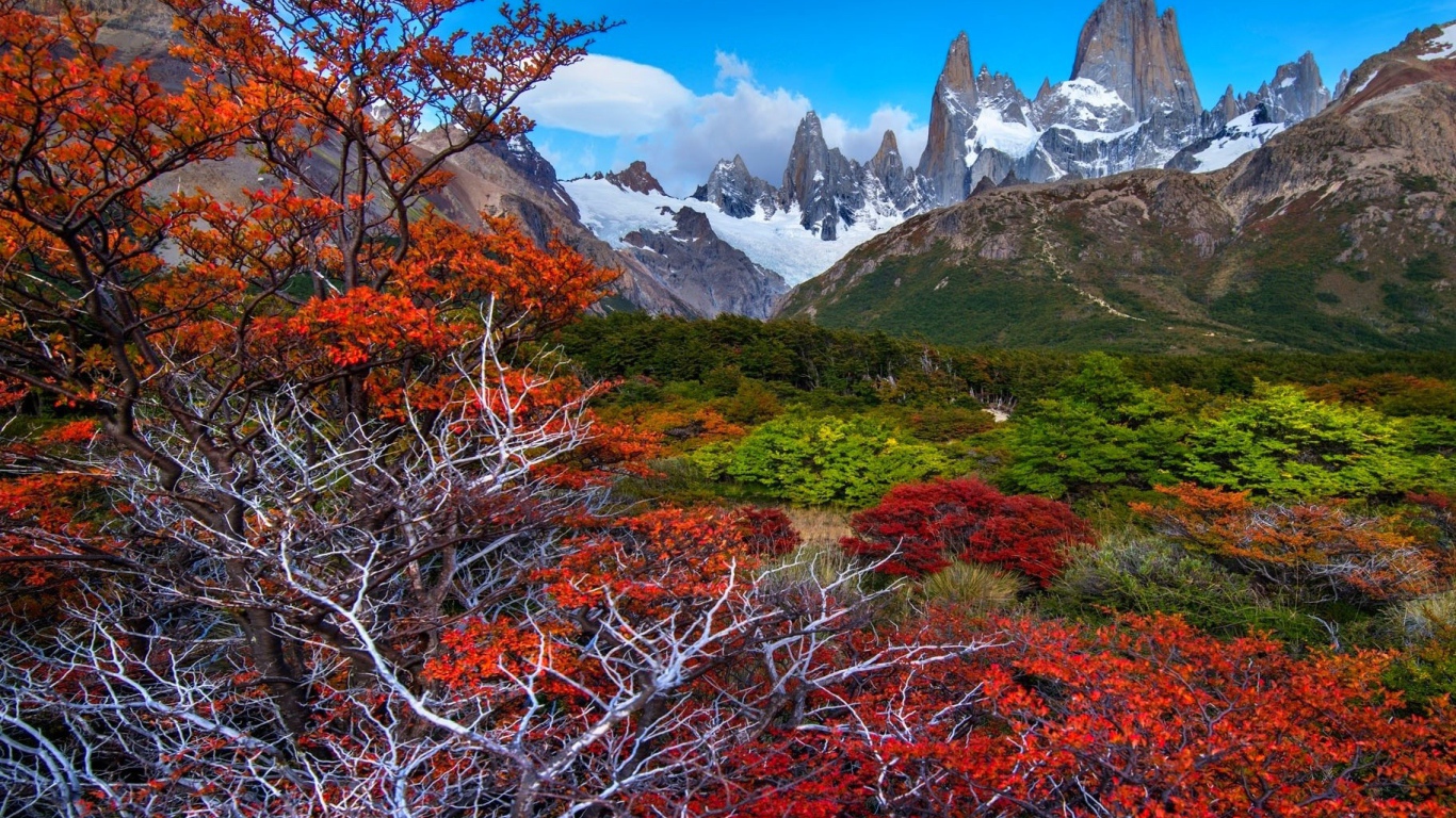 Красочная местность Патагония