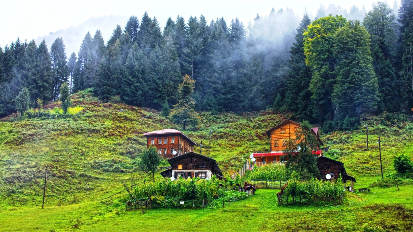 Деревянные дома в горах в Турции