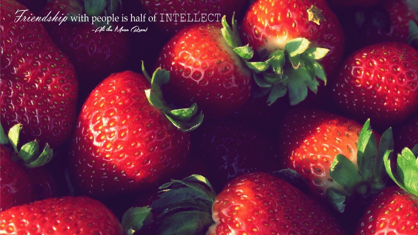 Дружелюбие, это часть интеллекта