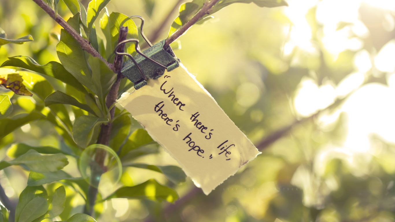 Где есть жизнь там есть и надежда