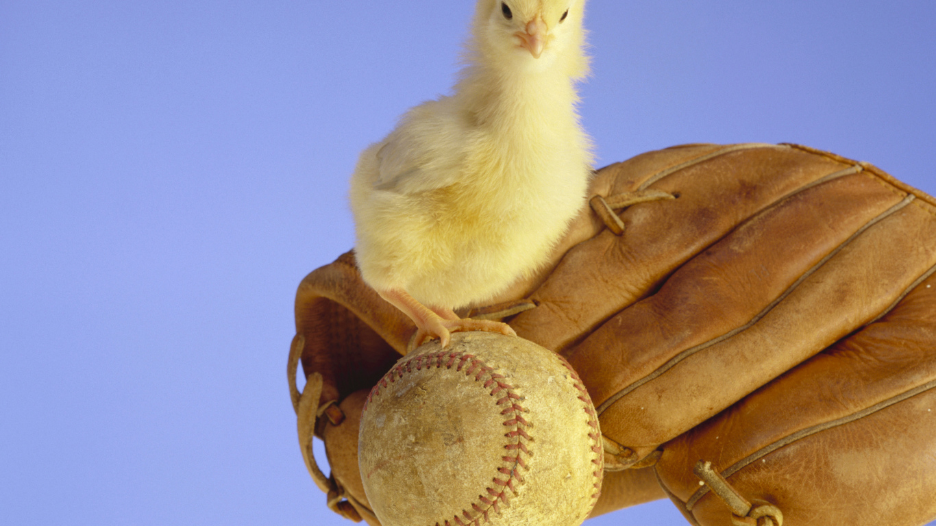 Маленький желтый цыпленок с бейсбольной перчаткой и мячом