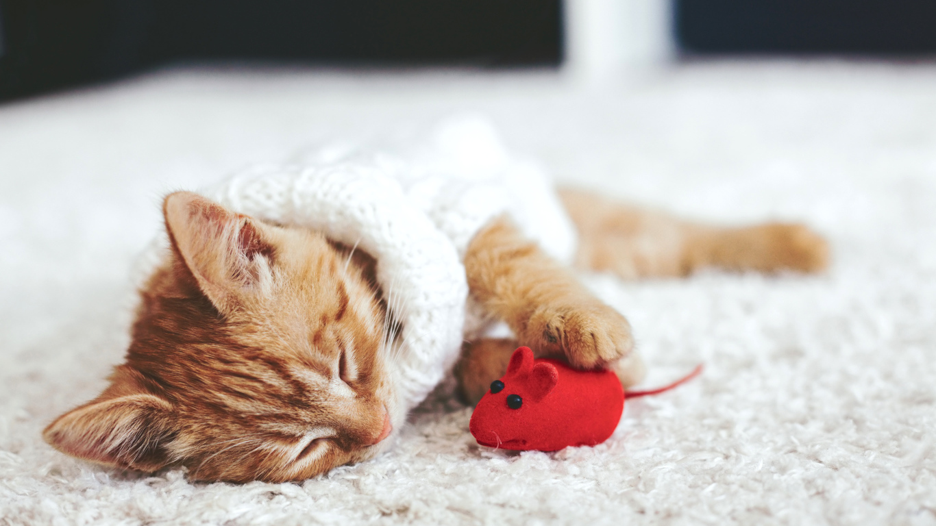 Маленький рыжий котенок спит с игрушечной мышкой